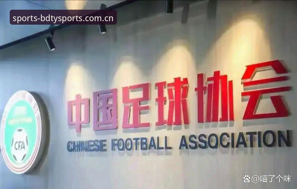 足球反腐处罚名单深度解析教程——从半岛综合平台视角看中国足协第三批禁足令操作指南